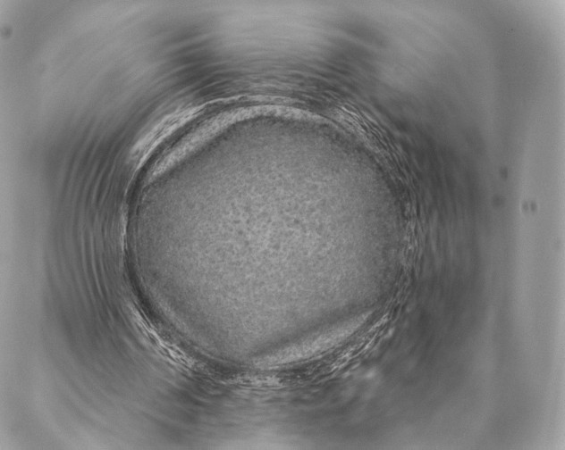 X0000087380194200705111744