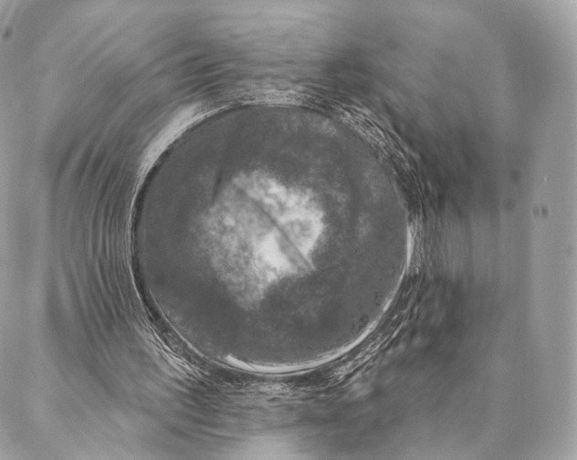 X0000087380195200705111744