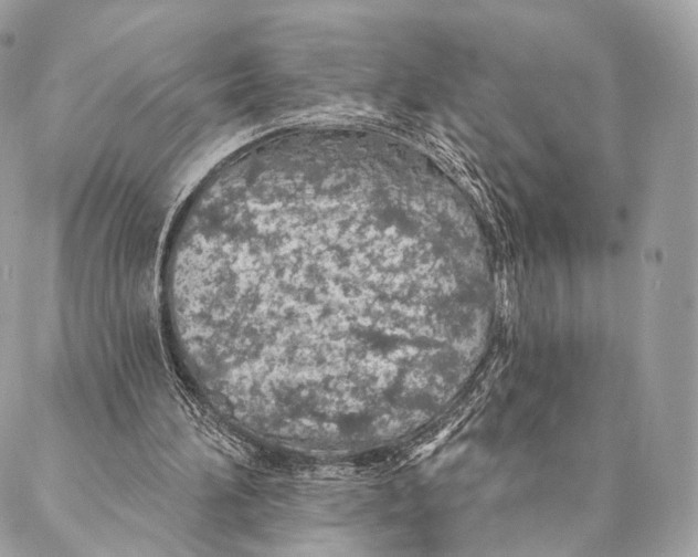 X0000087380196200705111744