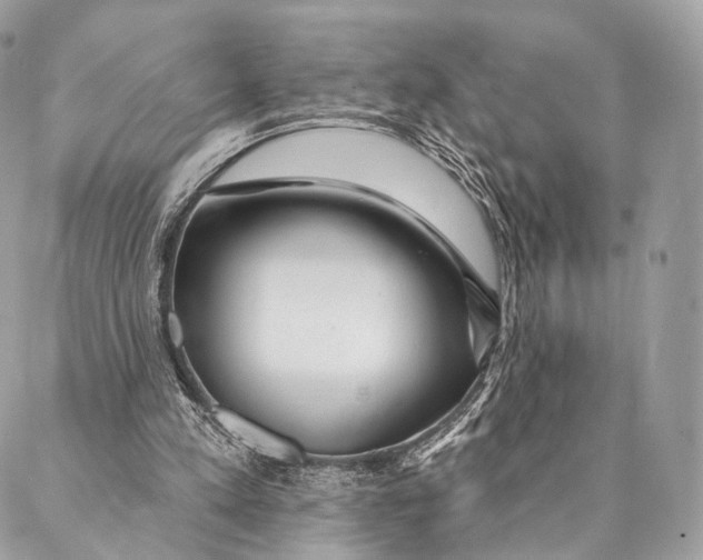 X0000087380197200705111744