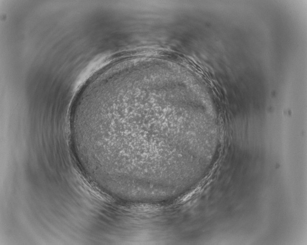 X0000087380198200705111744