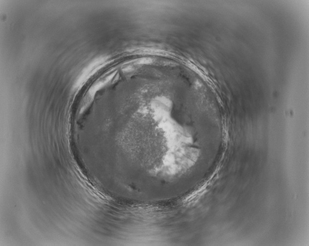 X0000087380199200705111744