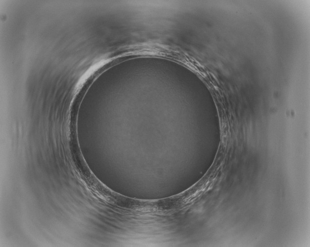 X0000087380200200705111744