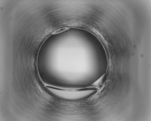 X0000087380201200705111744