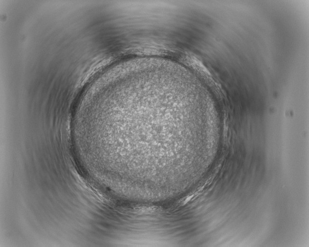 X0000087380202200705111744