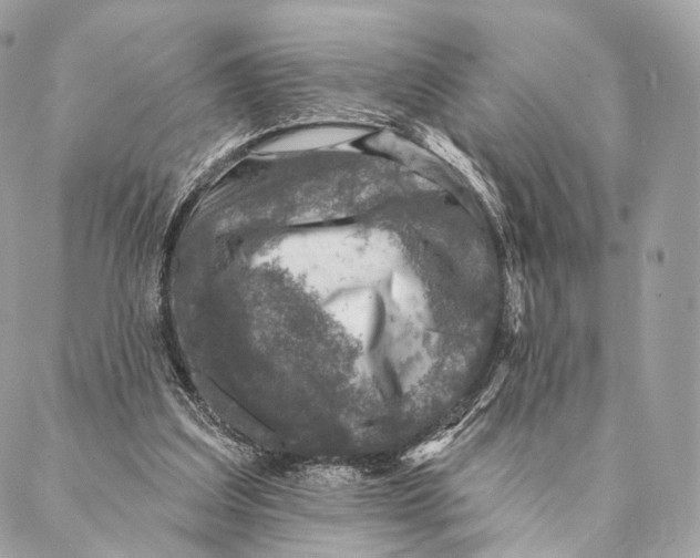 X0000087380203200705111744