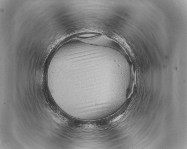 X0000087380204200705111744