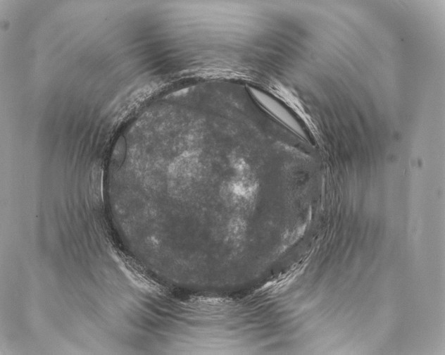 X0000087380205200705111744