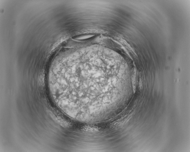 X0000087380207200705111744