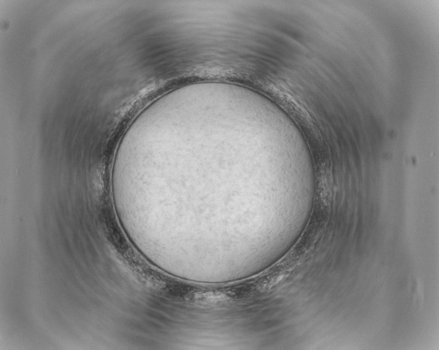 X0000087380208200705111744