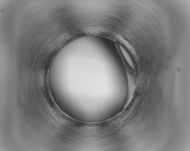 X0000087380209200705111744