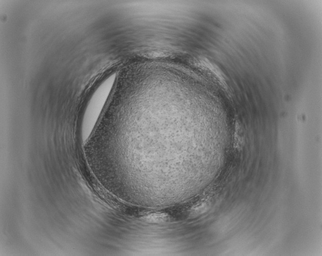 X0000087380210200705111744