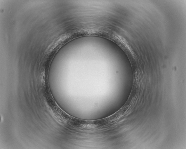 X0000087380212200705111744