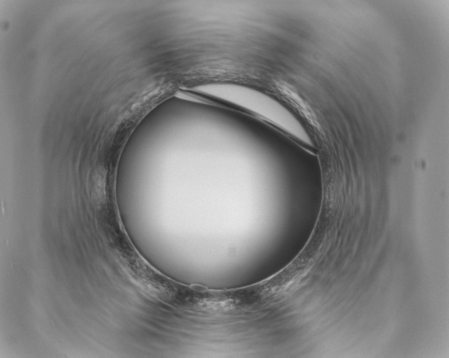 X0000087380213200705111744