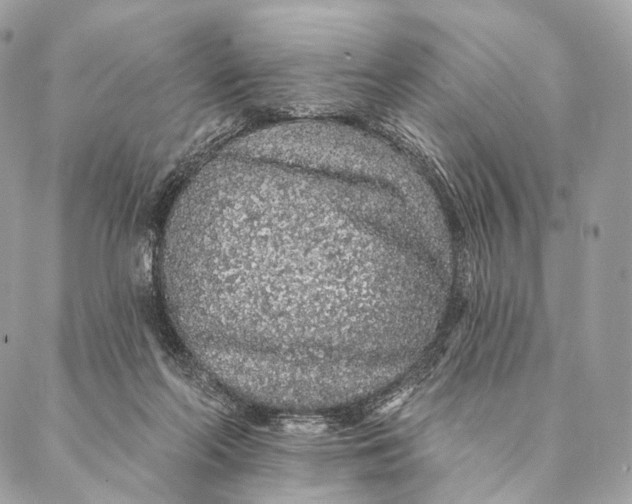 X0000087380214200705111744