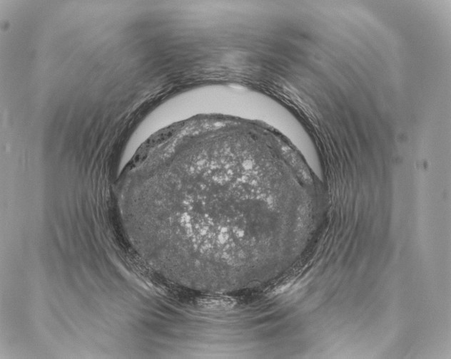 X0000087380215200705111744