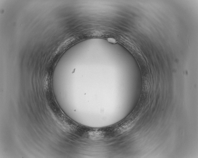 X0000087380216200705111744