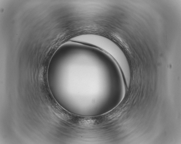 X0000087380217200705111744