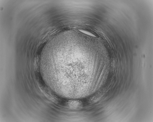 X0000087380218200705111744