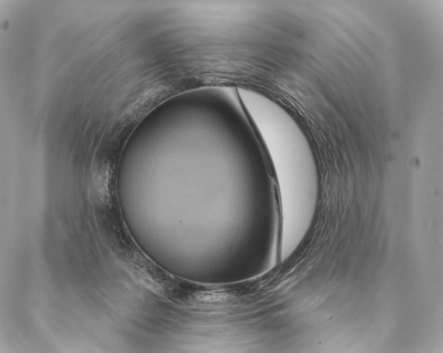 X0000087380219200705111744