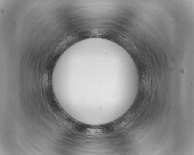 X0000087380220200705111743