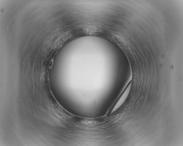 X0000087380221200705111743