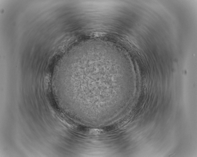 X0000087380222200705111743