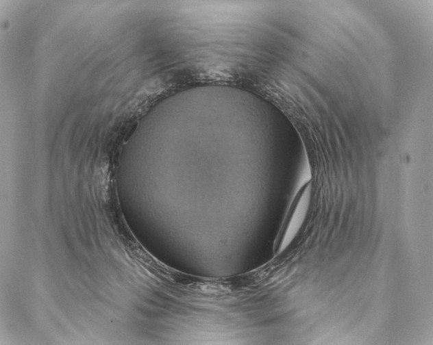 X0000087380223200705111743