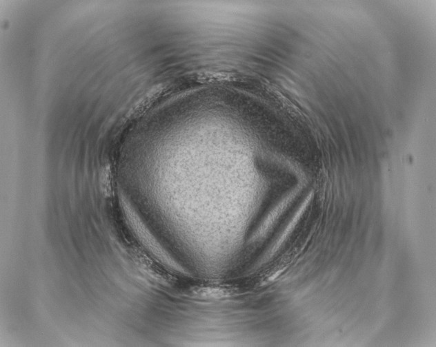 X0000087380224200705111743