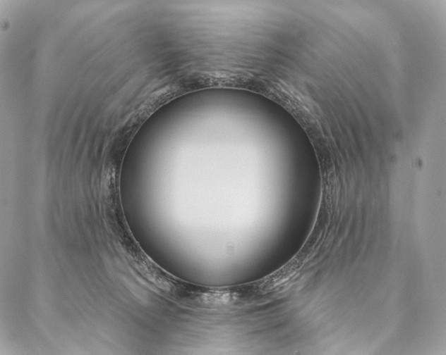 X0000087380225200705111743