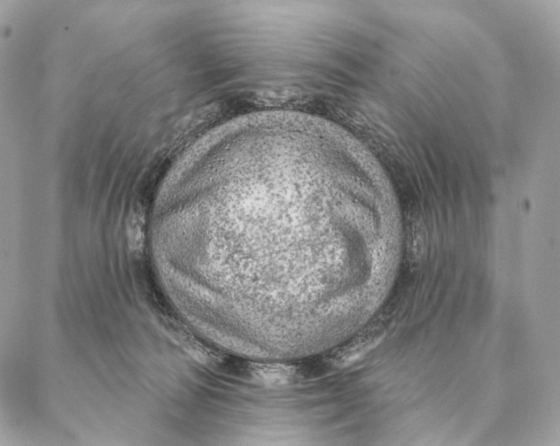 X0000087380226200705111743