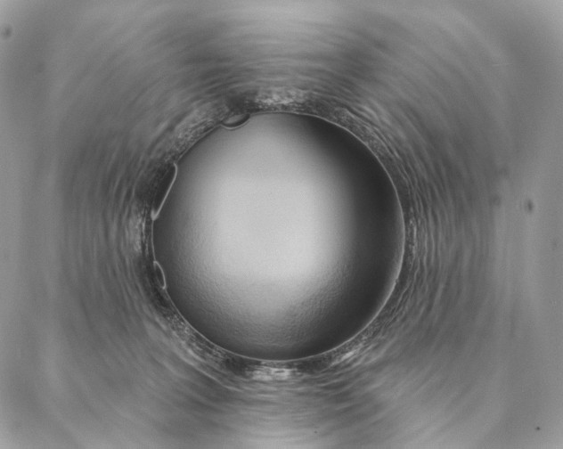 X0000087380227200705111743