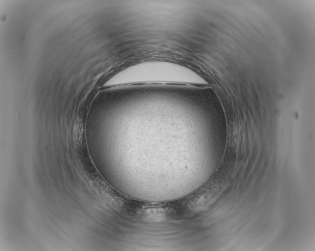 X0000087380228200705111743