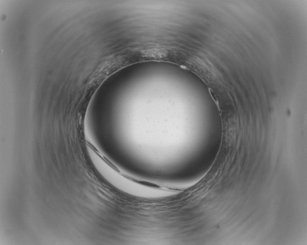 X0000087380229200705111743