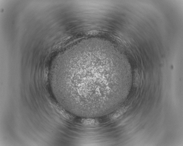 X0000087380230200705111743