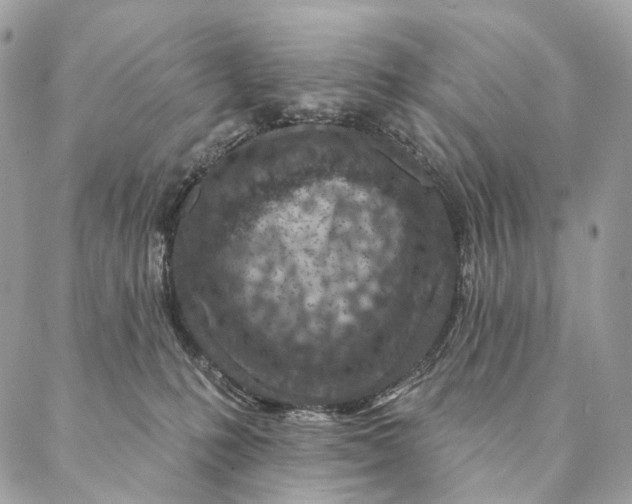 X0000087380231200705111743