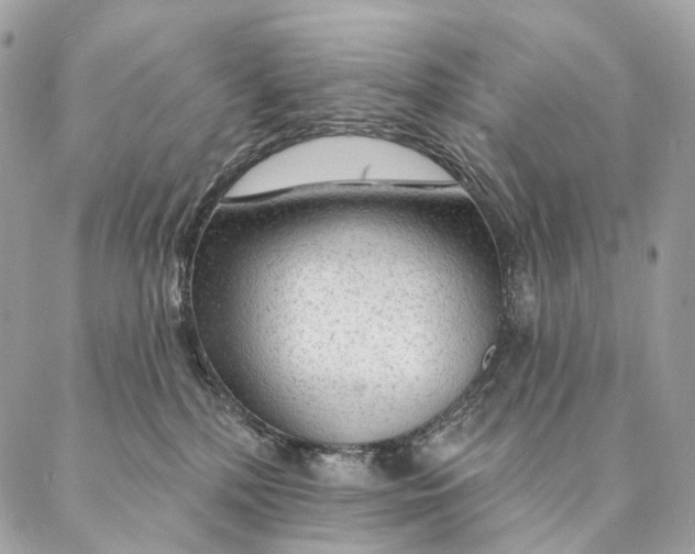 X0000087380232200705111743