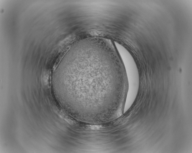 X0000087380233200705111743