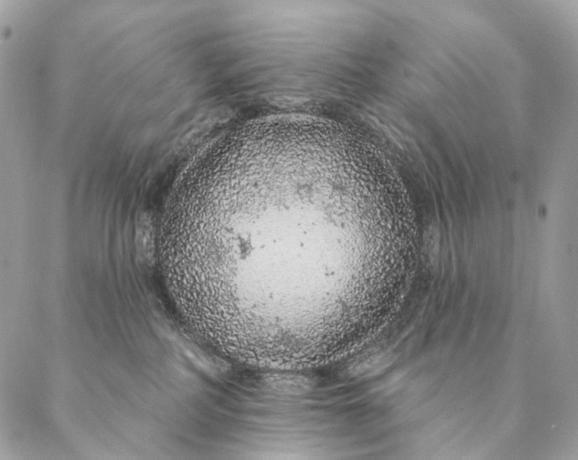 X0000087380234200705111743