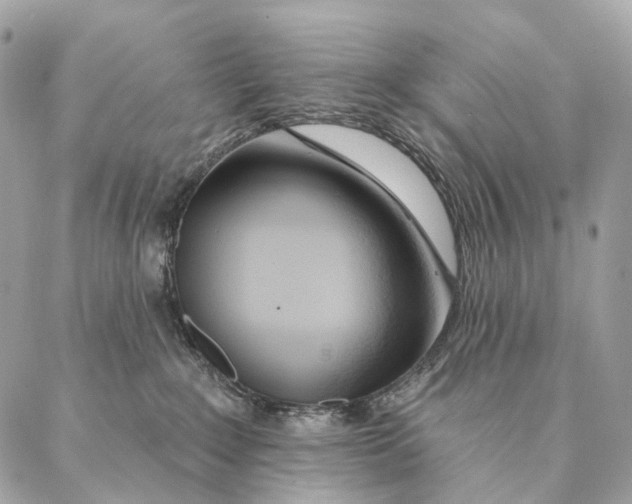 X0000087380235200705111743