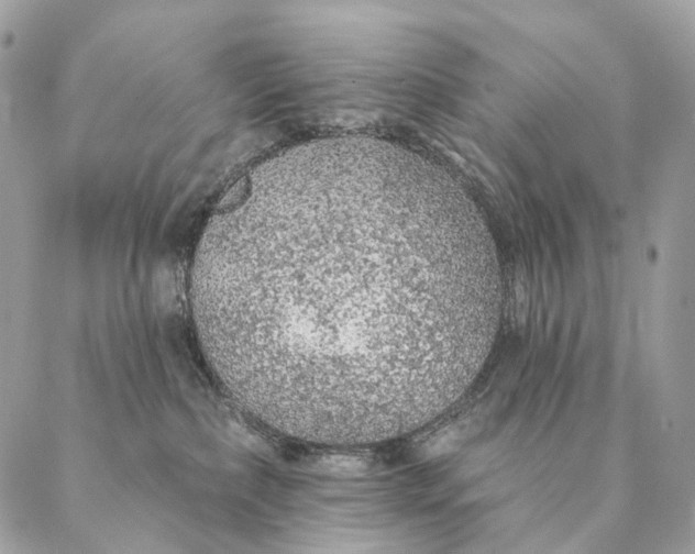 X0000087380236200705111743