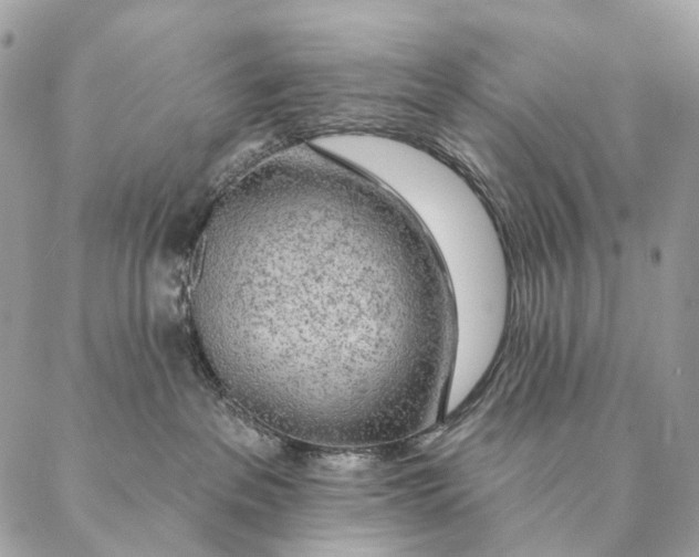 X0000087380237200705111743