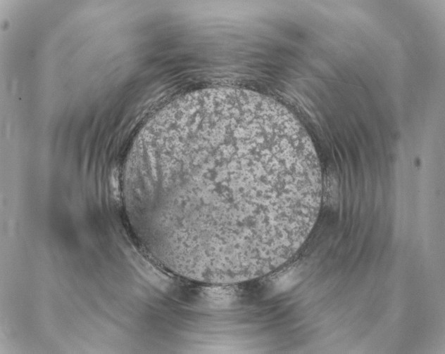 X0000087380238200705111743