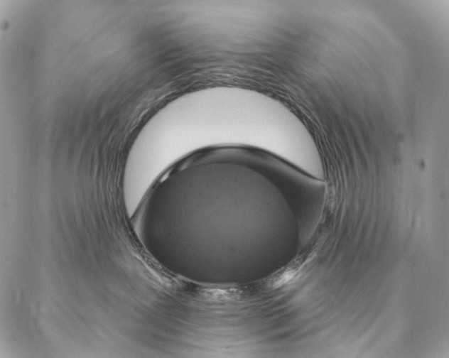 X0000087380239200705111743