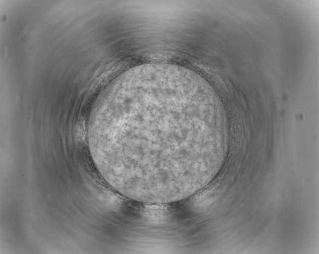 X0000087380240200705111743