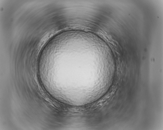 X0000087380241200705111742