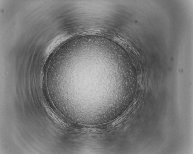 X0000087380242200705111742