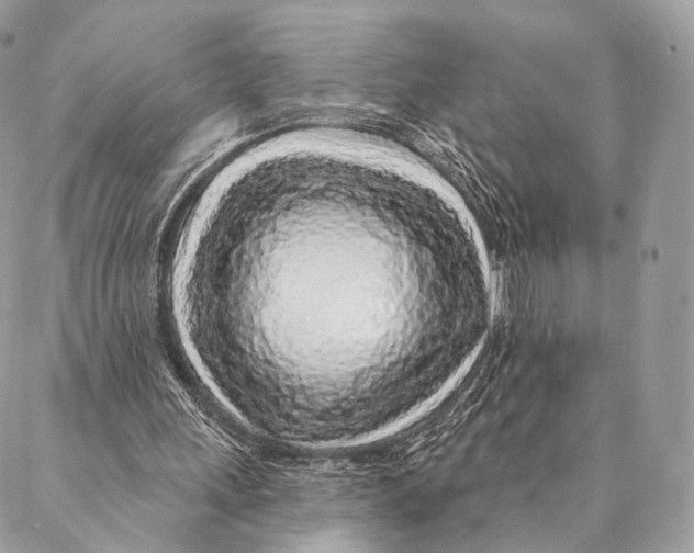 X0000087380243200705111742