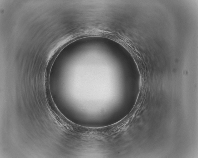 X0000087380244200705111742