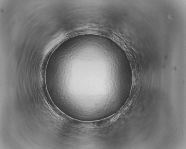 X0000087380245200705111742